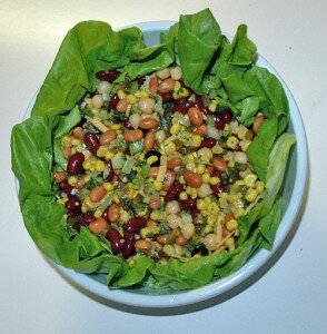 chili-spiced-bean-salad-0024-500x510